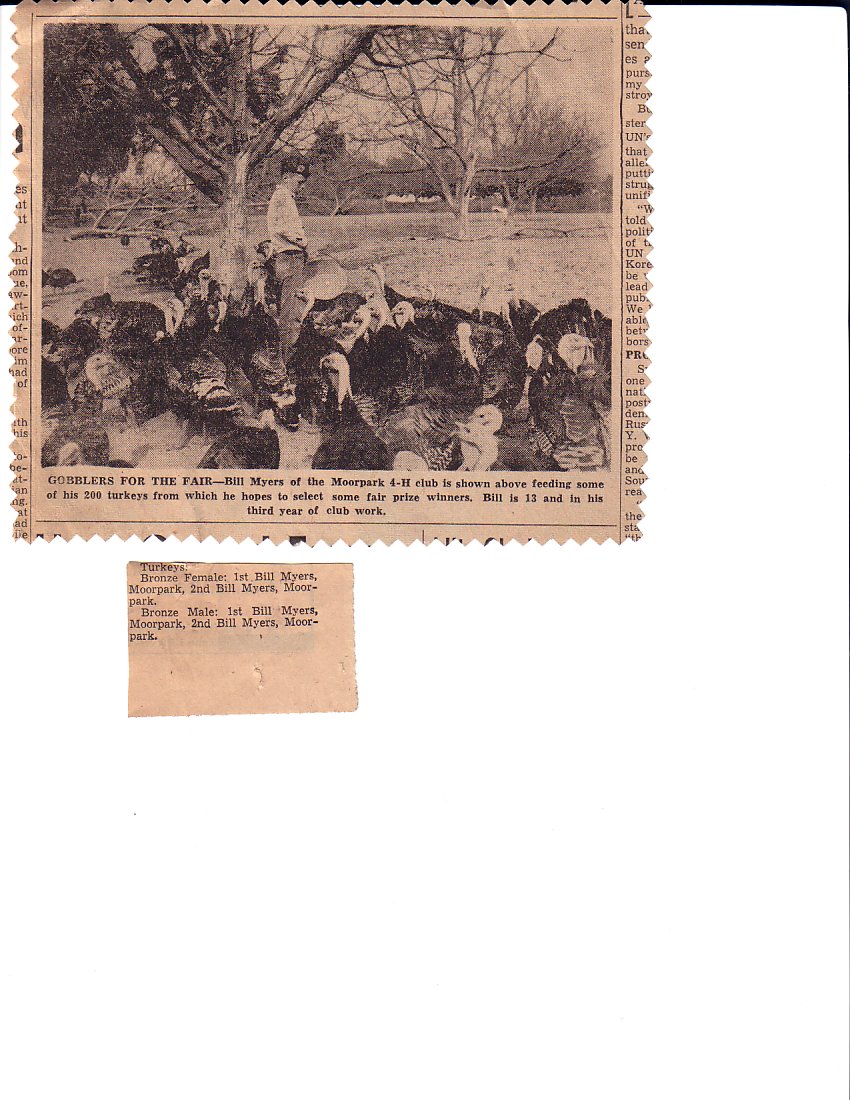 turkeys_for_fair.jpg